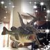 Profile Picture of Kenneth Herb (@kenneth.herb.165) on Facebook