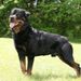Profile Picture of MARK PATLAN (@patlamar000) on Pinterest