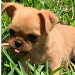 Profile Picture of Lillian Neal (@lillianneal88) on Instagram