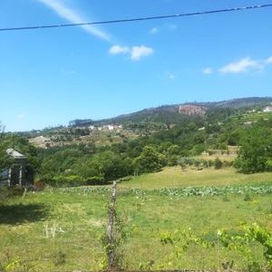 Profile Picture of Anabela Goncalves (@AnabelaGoncalv8) on Twitter