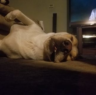 Profile Picture of Carley Hodgson (@carley.hodgson) on Facebook