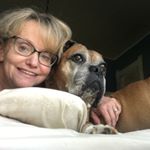 Profile Picture of Patty Addison (@addison.patty) on Instagram