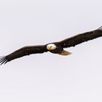 Profile Picture of Thomas Harter (@thomasharter1) on Instagram