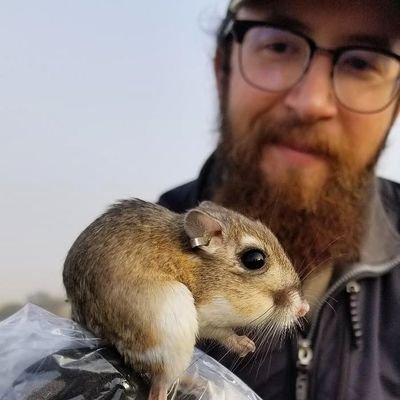 Profile Picture of Joshua Willems (@JoshuaWillems2) on Twitter