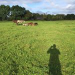 Profile Picture of Erik Ravenstein (@erikvanravenstein) on Instagram