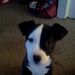 Profile Picture of Corey Botello (@botello0200) on Pinterest