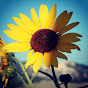Profile Picture of Shari Moore (@@Moores1989) on Tiktok