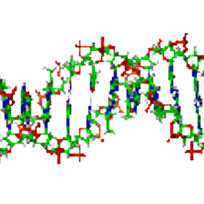 Profile Picture of Eric Lyons (@Genome_Guy) on Twitter