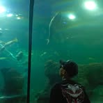 Profile Picture of Jonathan Sweitt (@Jonathan-Sweitt) on Facebook