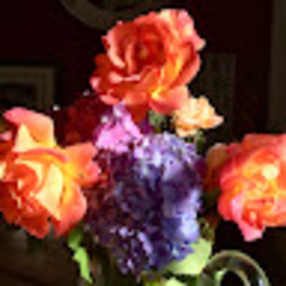 Profile Picture of Kimberley Ottaway (@pippiko) on Poshmark