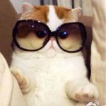 Profile Picture of Edward Cairns (@edcairns) on Instagram