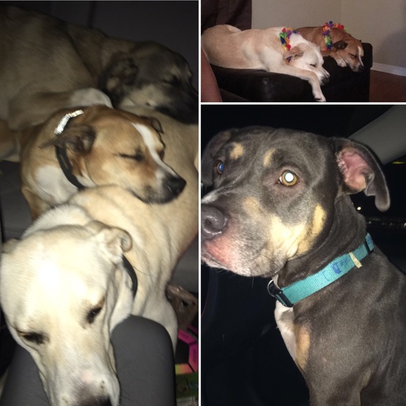 Profile Picture of Charlestine Webb (@charlestine16) on Poshmark