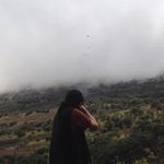 Profile Picture of Matthew Kitamura (@matthewkitamura) on Instagram