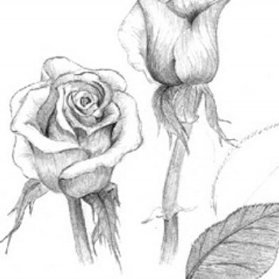 Profile Picture of Adam Richmond (@adamrichmond___) on Twitter