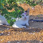 Profile Picture of colette summers (@colette820grb) on Instagram