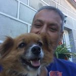 Profile Picture of Jose Quintas (@jose.quintas) on Instagram