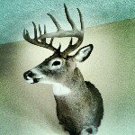 burt_perry - Instagram Profile Picture of burt_perry (@burt_perry) on Instagram