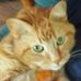 Profile Picture of Cindy Taber (@cindy.taber.3110) on Facebook