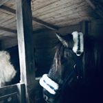 Profile Picture of Paula Rieck (@rieck.paula) on Instagram