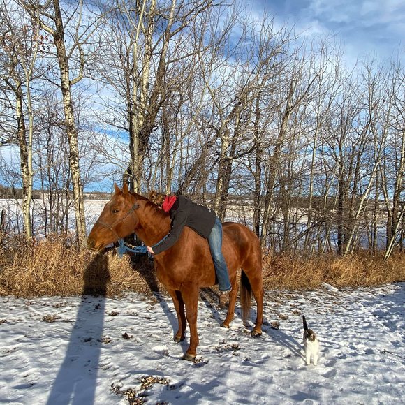 Katey Tufty - Poshmark Profile Picture of Katey Tufty (@kateytufty) on Poshmark