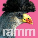 Profile Picture of Greg Palast (@gregpalast5b48) on Instagram