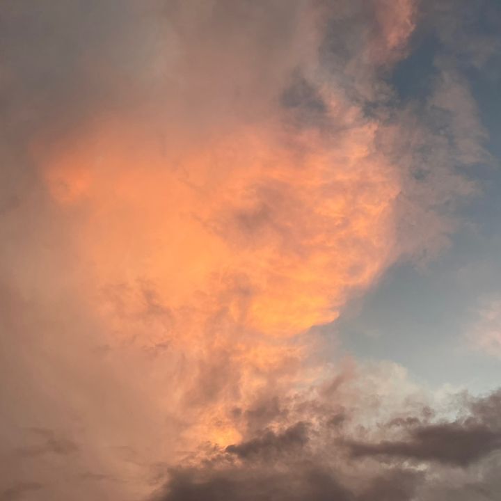 ty alderman - Tiktok Profile Picture of ty alderman (@ty.alderman8) on Tiktok