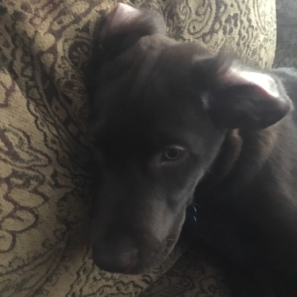 Profile Picture of Gavin Gillette (@gilgavsd) on Poshmark