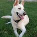 Profile Picture of Kelli Mohan (@kellimohan) on Pinterest