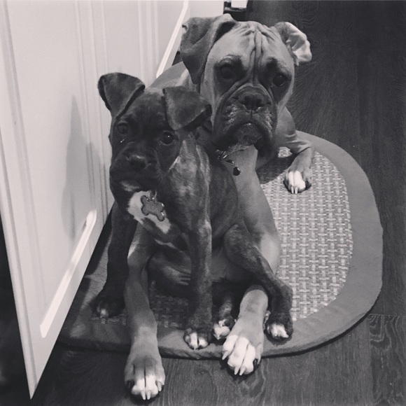 Profile Picture of Danielle Siracusa (@ds274705) on Poshmark