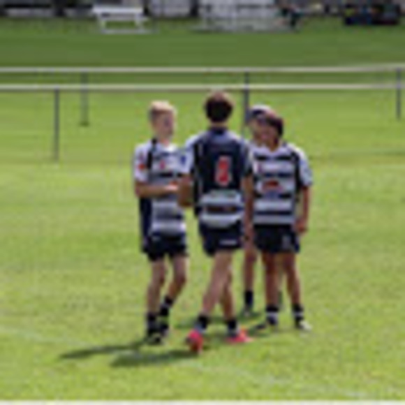 Profile Picture of Harry Marshall (@htmarshall49) on Poshmark