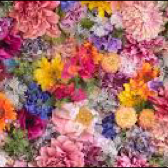 Profile Picture of Stefania Campbell-fowler (@scampbellfowler) on Poshmark