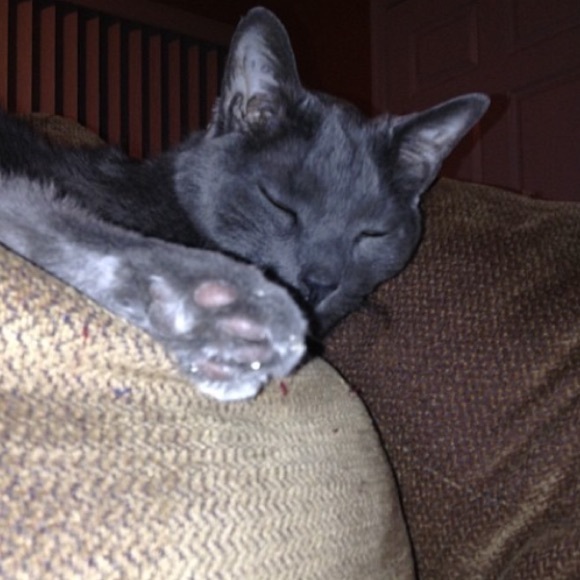 Profile Picture of Kelsey Macbeth (@kelsey5113) on Poshmark