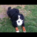 Profile Picture of James Sandy (@jamessandy) on Instagram