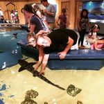 Profile Picture of Todd Iles (@tiles48) on Instagram