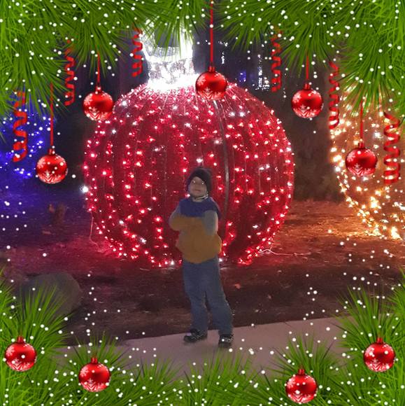 Profile Picture of Sandy Daugenti (@sandradee42068) on Poshmark