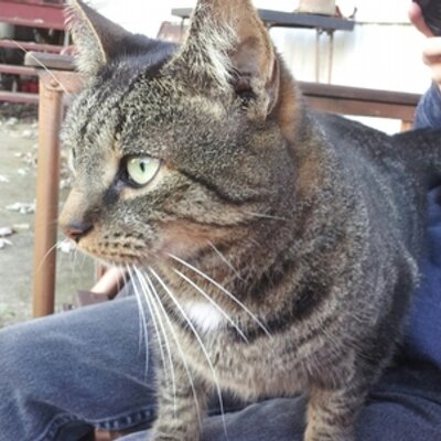 Profile Picture of Stanley Manly Rush (@Ajar219Stanley) on Twitter