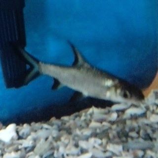 Profile Picture of Jorge Onate (@Jorge-Onate) on Facebook