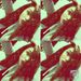 Profile Picture of Hailey Scheffer (@hailey5849) on Pinterest