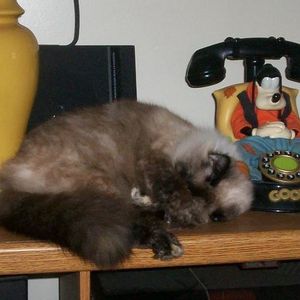 John Malachi - Myspace Profile Picture of John Malachi (@187129745) on Myspace