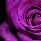 Profile Picture of Lillian Bryant (@Lillian-Bryant) on Facebook
