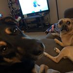 Profile Picture of Scott Fosmer (@scottfosmer) on Instagram