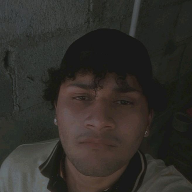 Profile Picture of Robert🥷🏼 (@robert.aleman) on Tiktok