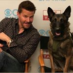 Profile Picture of matthew walcott (@ma.tthew5100) on Instagram