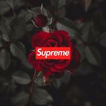 Profile Picture of Mitchell Kirby (@lowkey.hockey23) on Instagram