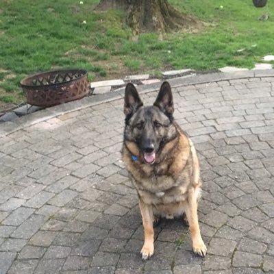 Profile Picture of Colin Bunn (@BunnColin) on Twitter