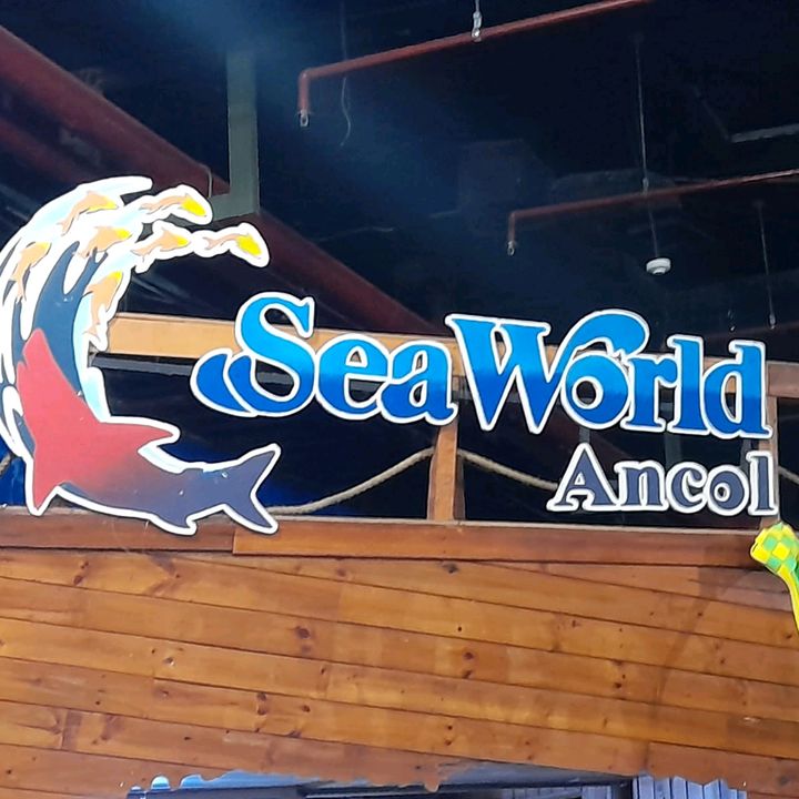 Profile Picture of SEA WORLD ANCOL (@ancolyey_8) on Tiktok