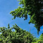 Profile Picture of Cecilia Hicks (@ceciliacorrine2019) on Instagram