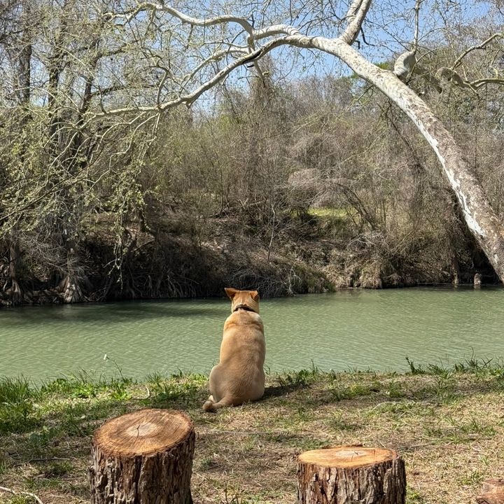 Profile Picture of Holly Irvin (@holly..i) on Tiktok