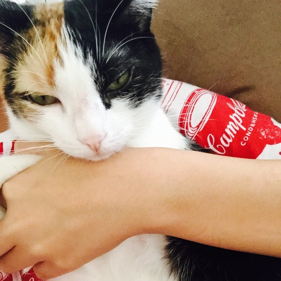 Profile Picture of Yee lam Cheng (@elephantelaine) on Poshmark