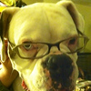 Profile Picture of cary smith (@redboy3171) on Flickr
